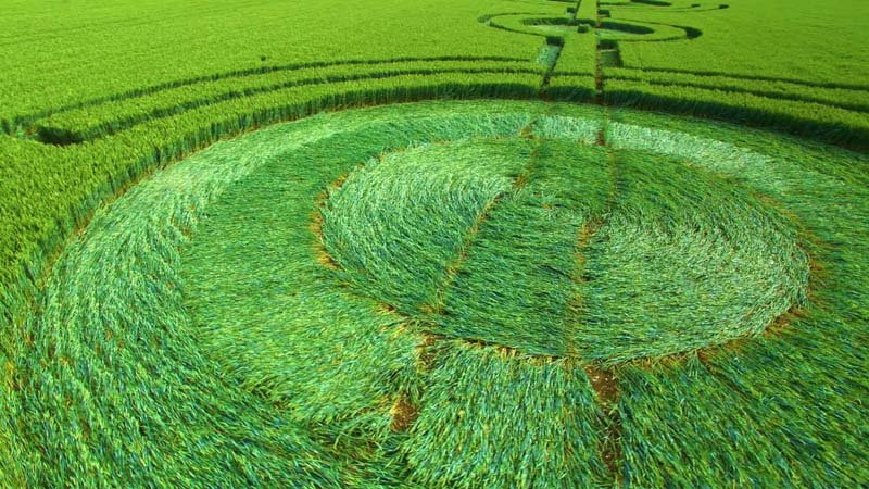 DNPACQUY's tweet photo. CROP CIRCLES VÒNG TRÒN BÍ ẨN – TUYỆT TÁC CỦA NGƯỜI NGOÀI HÀNH TINH https://t.co/Y5rOsv7V6O
