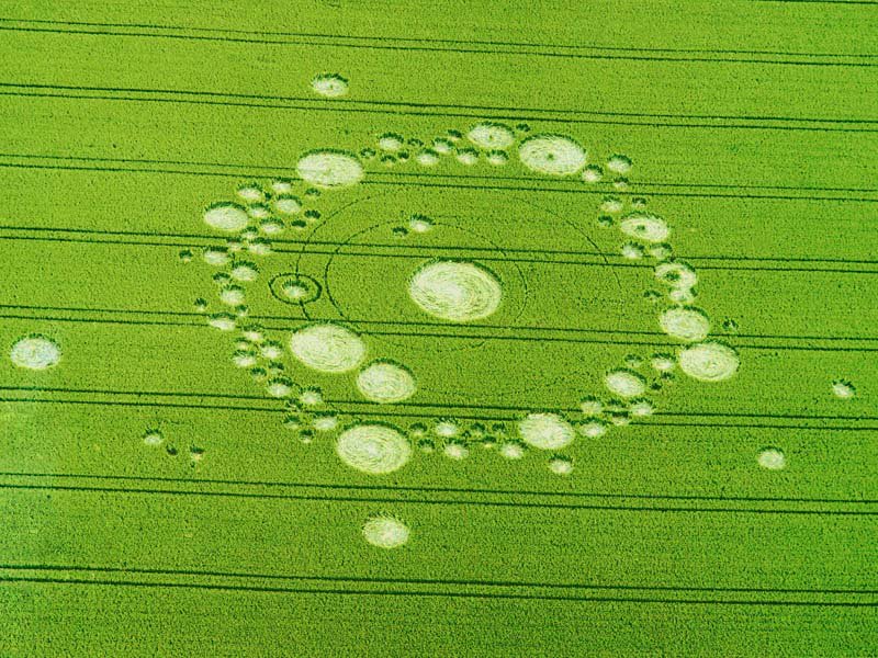 DNPACQUY's tweet photo. CROP CIRCLES VÒNG TRÒN BÍ ẨN – TUYỆT TÁC CỦA NGƯỜI NGOÀI HÀNH TINH https://t.co/Y5rOsv7V6O