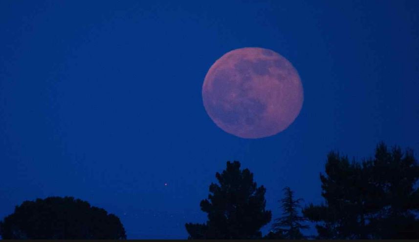 truebaikastetxe's tweet photo. Este viernes, 20 de abril, de 21:30h a 24h, organizamos #AstroTrueba, la VI Observación del Cielo Nocturno, en colaboración con la Asociación Astronómica de Bizkaia @AAV_BAE y Aula Espazio Gela @upvehu.
Entrada libre ¡No olvides venir con ropa de abrigo!. https://t.co/eMXyptZ1DY