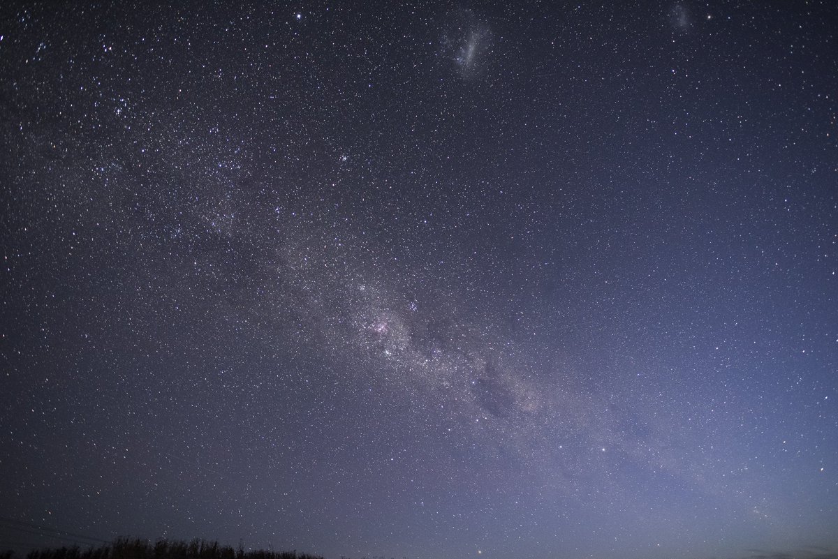 Science & Medicine at ANU tweet media