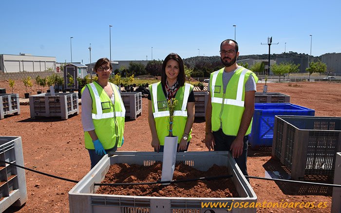 jaarcossanchez's tweet photo. La trinidad de los NPK. Hasta la cocina en la fábrica de #fertilizantes de Vall de Uxó en Castellón https://t.co/tubkQmigIK #comunidadvalenciana #agricultura #abonos @COMPOSpain https://t.co/smVG3hhMCt