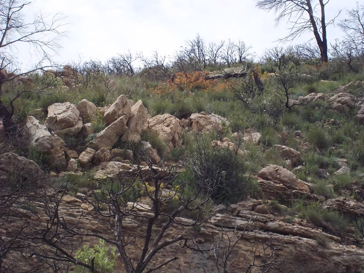 SmidaSamali's tweet image. تحية سلم و سلام .إلى كل محبي ألسلام.