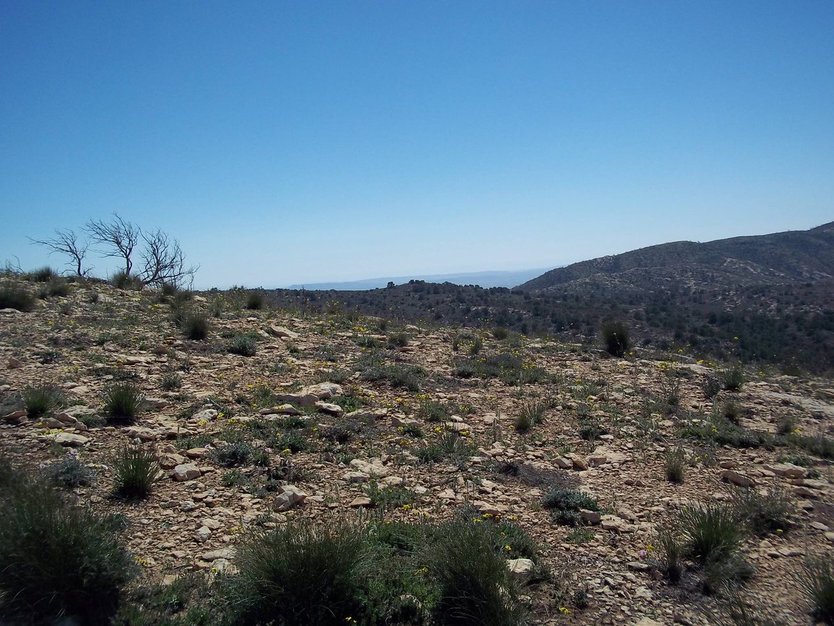 SmidaSamali's tweet image. تحية سلم و سلام .إلى كل محبي ألسلام.