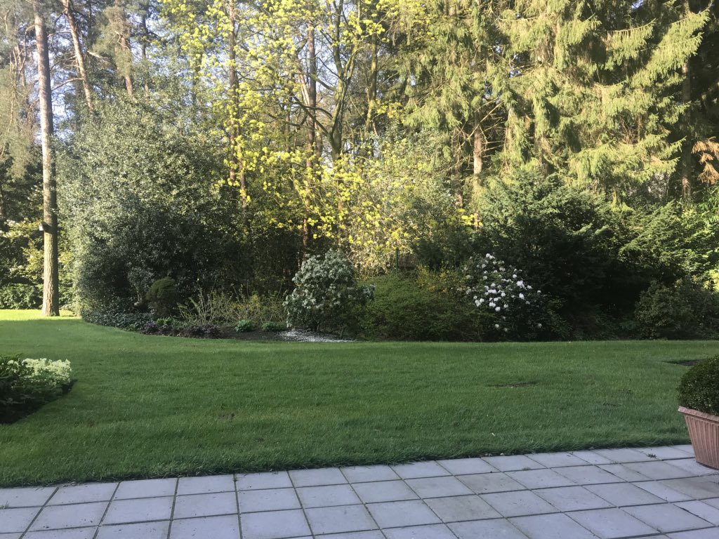 SjoerdPotters's tweet image. Uitzicht in de ochtend vanuit mijn nieuwe plekje. 🤗 Tuin is gezamenlijk trouwens. Ik heb absoluut geen groene vingers🙈