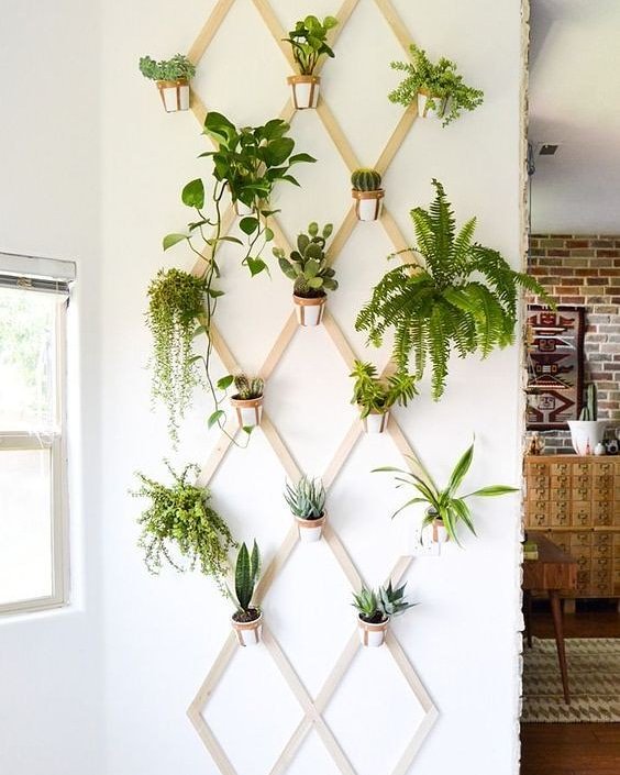 CraftHse's tweet photo. Green with envy 🌿🌾🌱

#plantwall #homedecor #NMGFY2017 Barbara Bush #KICCTsavoHall #KTNMorningExpress #KTNNewsCentre #MidWeekParty #Brekko IEBC Diamond Platinumz Rick Ross Gor Mahia Wafula Chebukati #GainWithTrevor #TrapaDrive #IfikieWazazi #JuliusMalemaChallenge #mufc #SDLive https://t.co/aHRe95NRR0