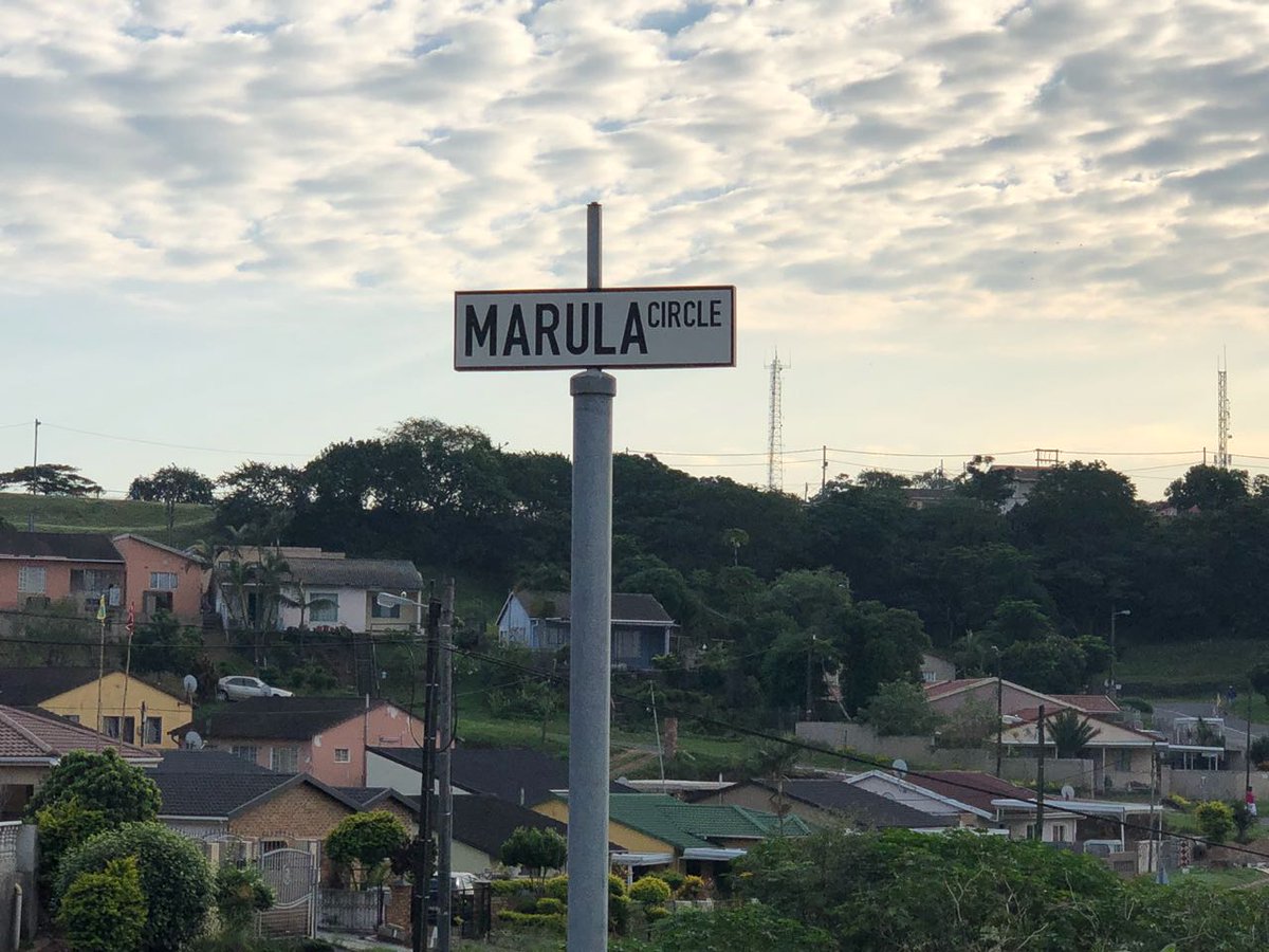 shybux's tweet photo. Trenance Park Under Siege - Verulam Kwa Zulu Natal

https://t.co/PpktqAW9lk https://t.co/enQRKwYrhX