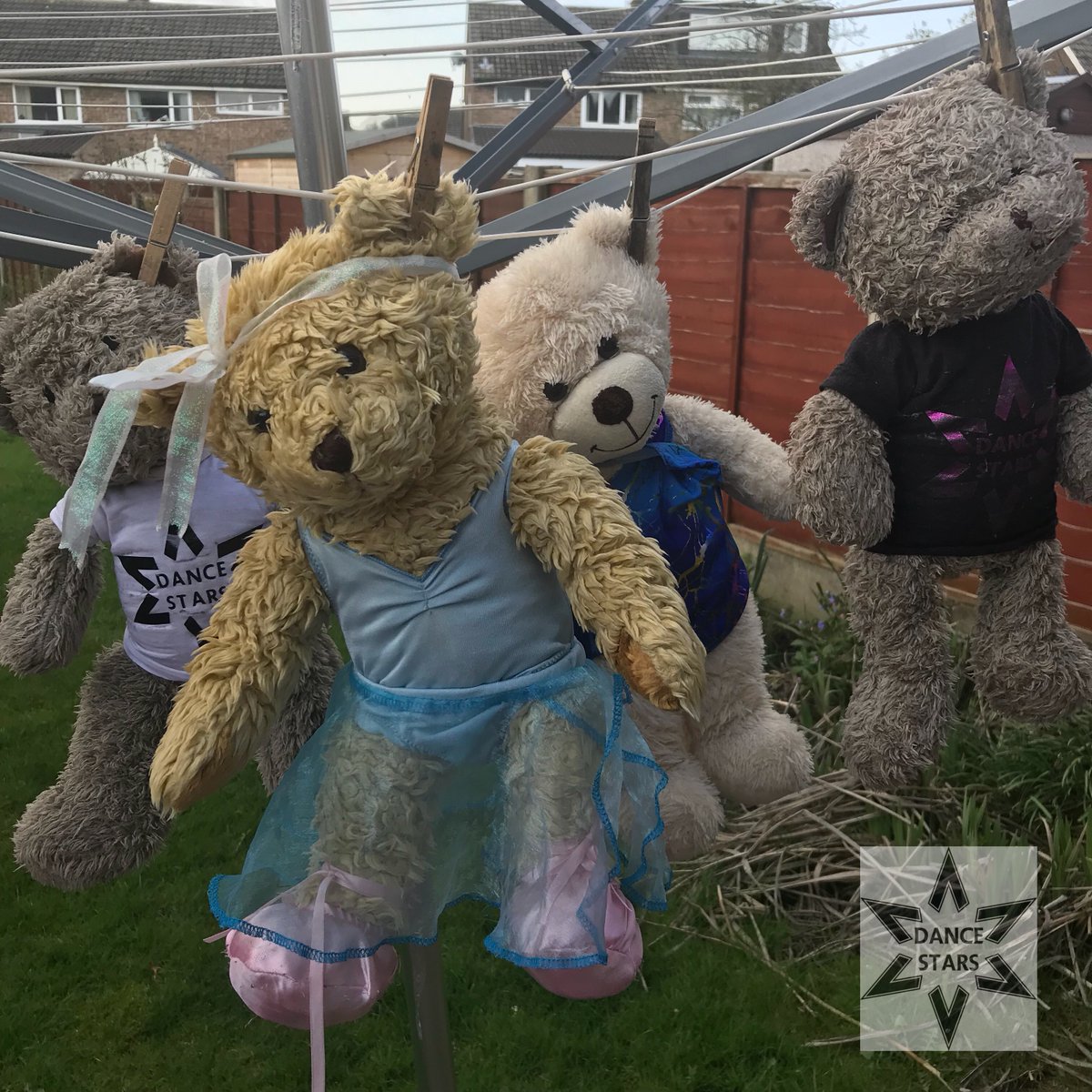 DanceStarsDF's tweet photo. That’s 4 little bears hanging on a washing line. 

What’s the correct way to even hang bears? I’ve chosen the ear... would the arm have been a better? 🤣 https://t.co/hKSAxKO3Zv