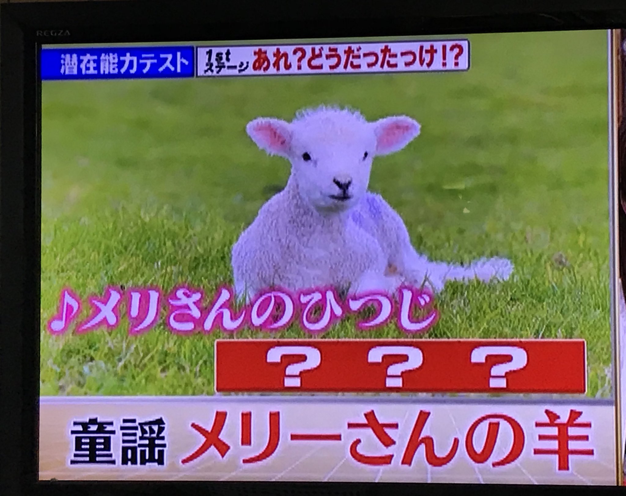 平岩奈津美 Auf Twitter に入る歌詞わかりますか メリーさんの羊 平岩奈津美 Auf Twitter に入る歌詞わかりますか メリーさんの羊