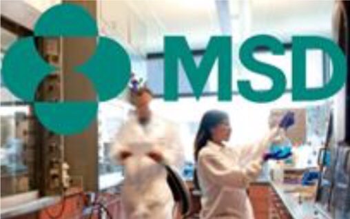 Veronicasancle's tweet photo. #ProyectoCAMINA  Acceda a todos los recursos del Programa CAMINA a través de la página Profesionales Sanitarios MSD https://t.co/XKbFZFSZsJ https://t.co/wdh65b3cSV