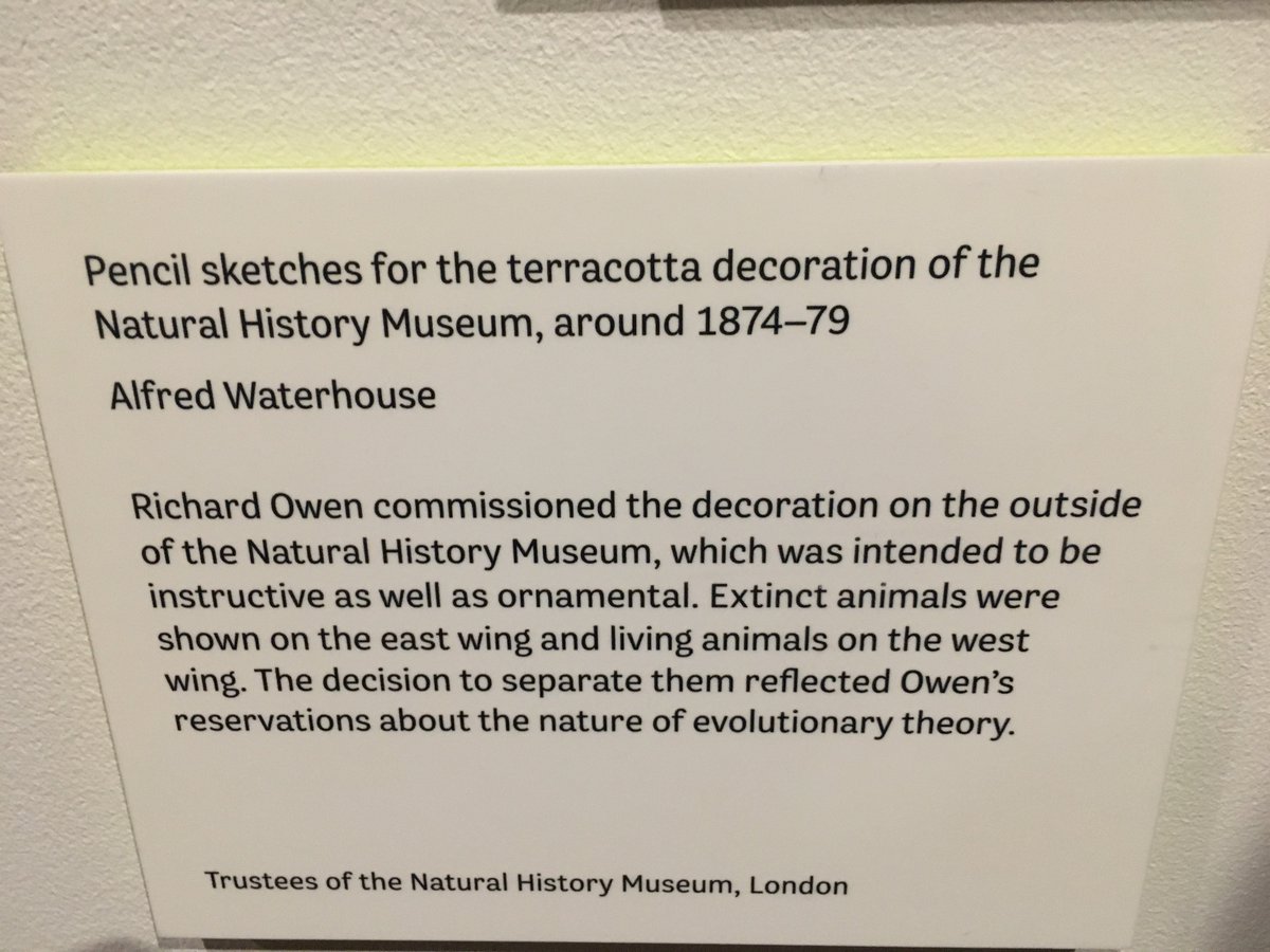 TinctureOfMuse's tweet photo. Happy Birthday @NHM_London a great day to share these pencil drawings by Alfred Waterhouse of the animal decorations for the building. From #MakingNature @ExploreWellcome 2016-17 https://t.co/bMhuDyCw7q