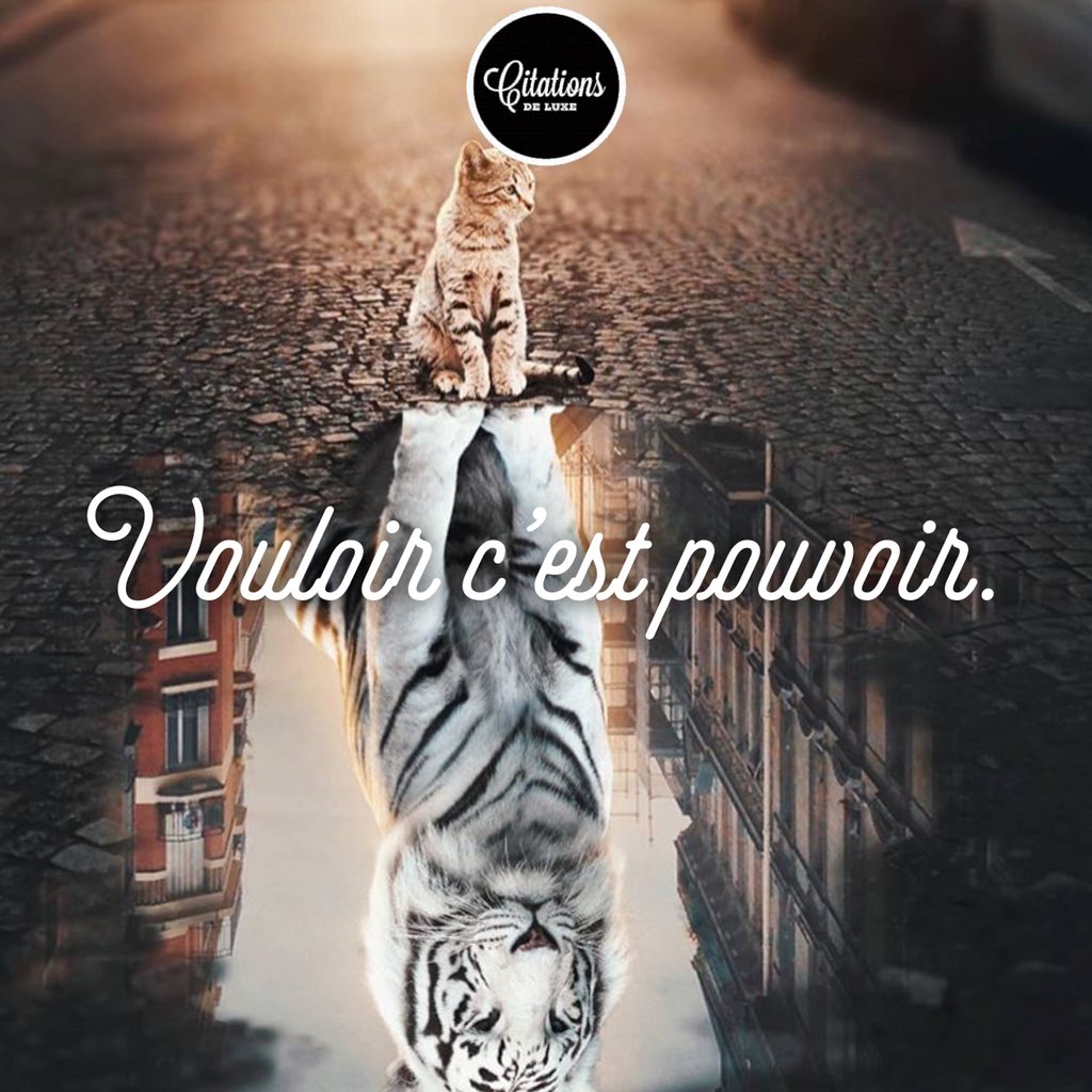 Citations De Luxe Vouloir C Est Pouvoir Citation Motivation Volonte