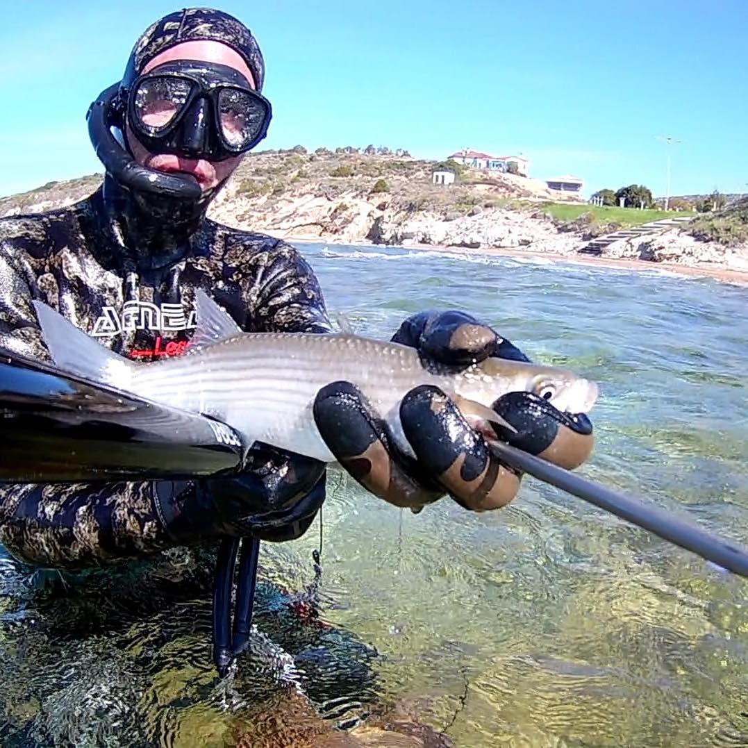 EKENGroup's tweet photo. Gone underwater fishing! Spearfishing with EKEN H9R!🐟📸

Get an EKEN H9R on Amazon US here: https://t.co/OHJpoXOmQv
More on #EKENofficial website at: https://t.co/5eI0oBOxZa

#eken #ekenh9r #underwater #wildlife #deep #extreme #adventure #fishing #diving #hunting https://t.co/z5GFCufyT5