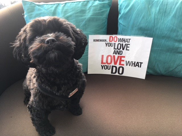 TateEpsom's tweet photo. If Ted could talk...........
Do what you love, love what you do ❤️
#teddy #thoughtfortheday #thinktate #lovewhatyoudo https://t.co/uJ8mo4qD0L