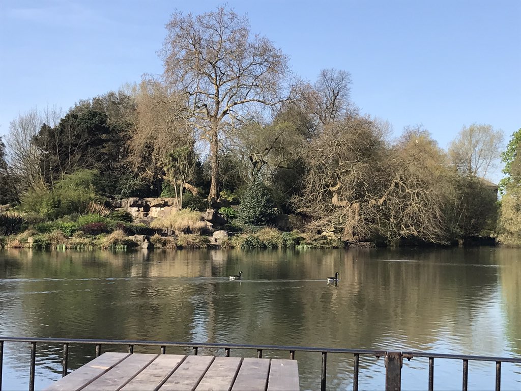 LaniganEstates's tweet photo. Welcome #spring #sun #Batterseapark is looking lovely for it https://t.co/KEn5pXPDVG