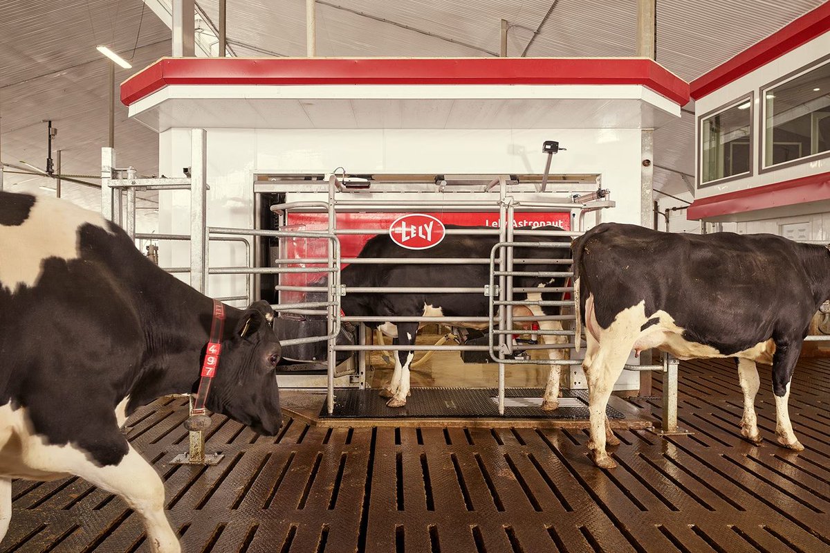 GDFnetwork's tweet image. NEWS | News from our partner @LelyHolding : The new milestone in milking: the Lely Astronaut A5! #Lely #AstronautA5 #Milkingrobot