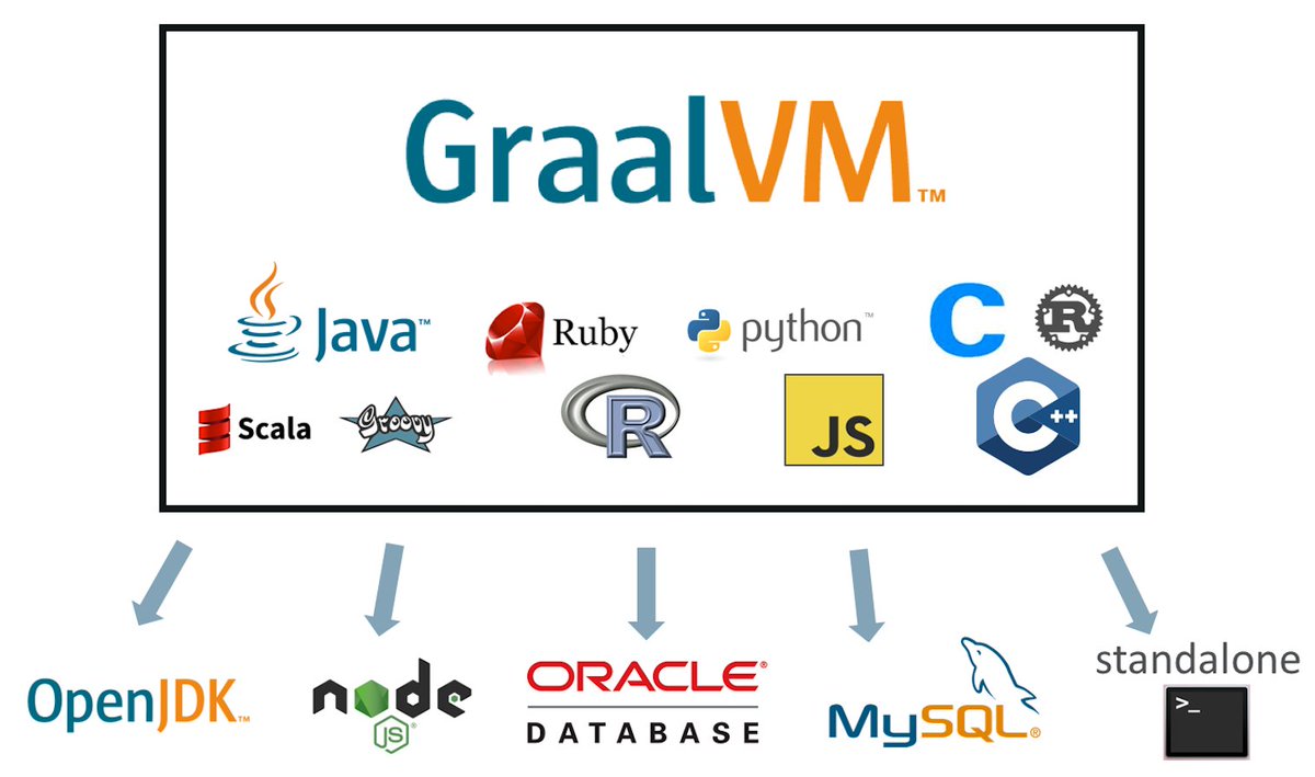 The "GraalVM" Annoucement picture
