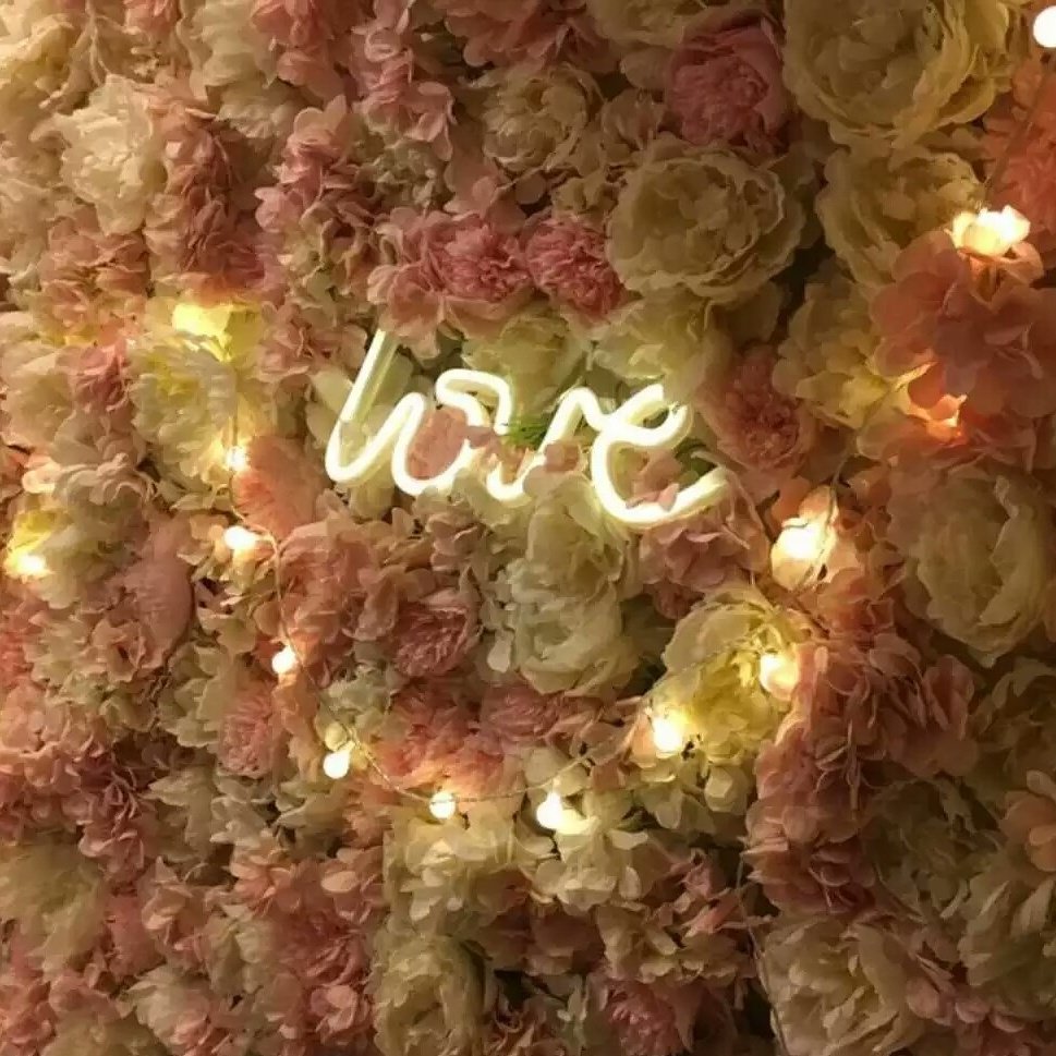 nbakilight's tweet image. #loveneonlight #frostballstringlights #ledfairystring #neonlights #homedecorlights #Akilight