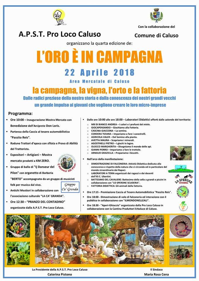 ViniStradaReale's tweet photo. L'oro è in Campaga a Caluso Sabato 21 e domenica 22 aprile e non può mancare l'Erbaluce! https://t.co/Q5Dc3QY0v7 https://t.co/io8Ubn9NC3