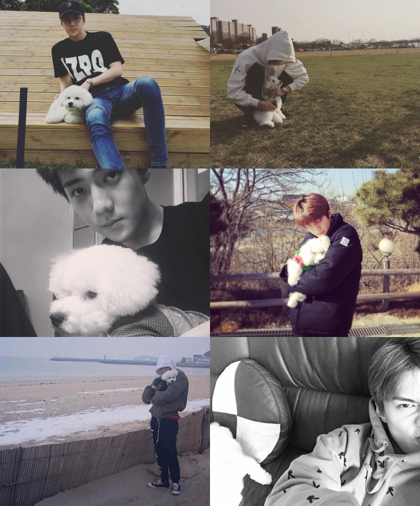 onlyhunnie94's tweet photo. -อัพไอจีก็วีวี่
-วีแอปก็วีวี่
-วันเกิดตัวเองก็วีวี่
-แฟนคลับให้ของก็ชอบวีวี่
#จงอธิบายเมนตัวเองให้ฮาที่สุด https://t.co/g8ubtjnUXQ