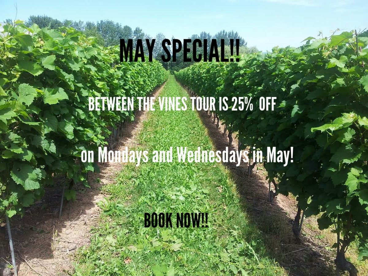 BOOK NOW TO TAKE ADVANTAGE OF THIS GREAT DEAL TO MARK OUR 10TH SEASON! @TasteofNS @hfxnovascotia @WinesofNS
#NSWines
wp.winetoursns.com/between-the-vi…