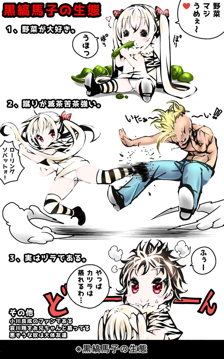 黒縞馬子の生態 