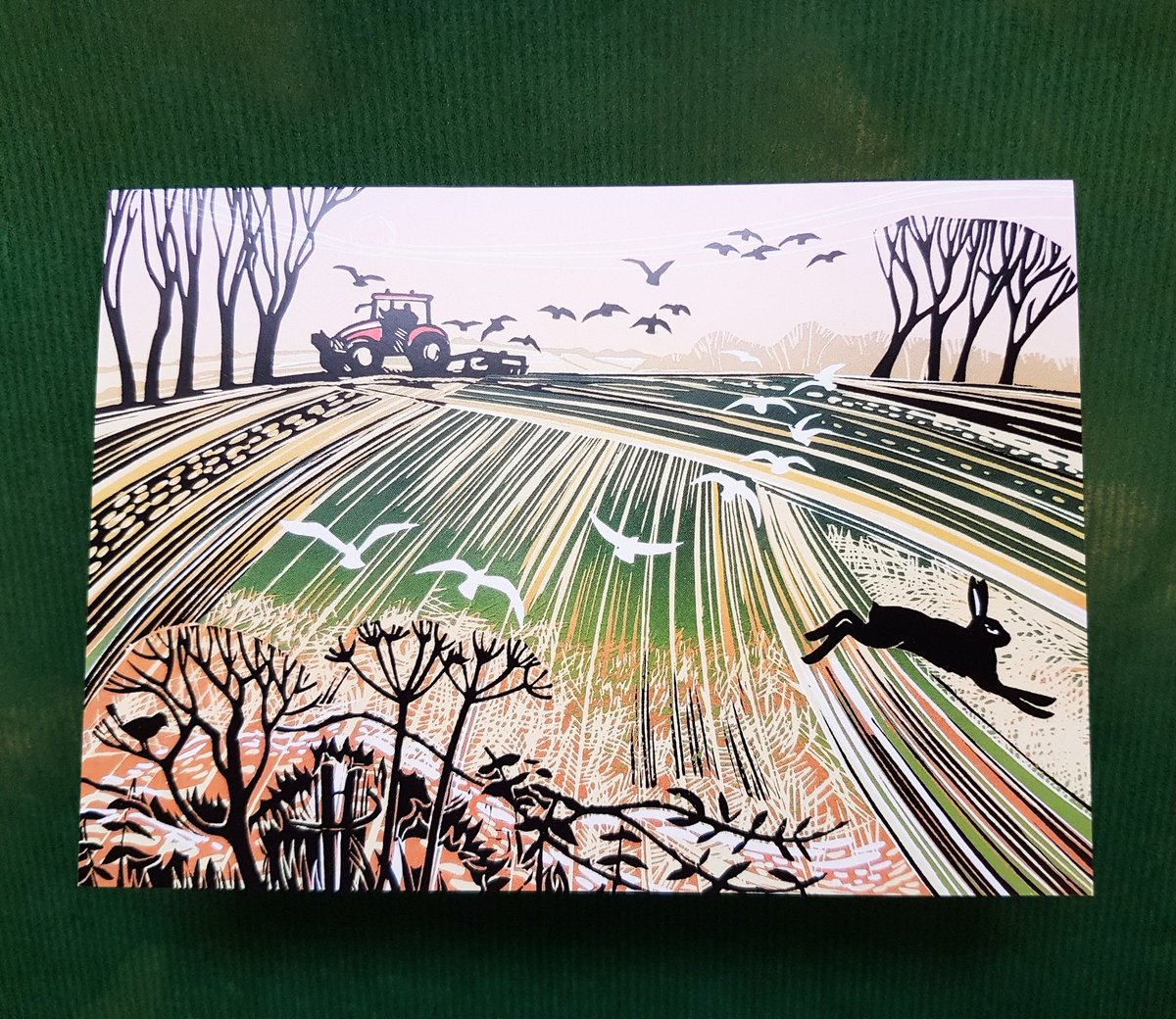 onchurchhill's tweet photo. Beautiful lino cut images by #robbarnes @gpcards
Here's hoping the weather is picking up for the local farmers!
#knutsford #cheshire #buylocal #Independent #farming #art #weather @NFUtweets @cheshirelife https://t.co/3nZKDVlJHJ
