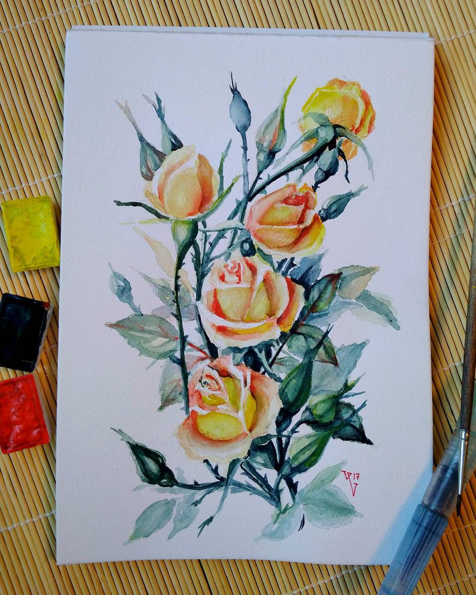 Roses in a limited palette: cadmium red, indigo, and lemon cadmium)  Watercolor, A5. 
 #drawing #instaartexplorer  #rose #botanicalpainting #botanicalwatercolor #watercolourart #botanicalart  #botanicaldrawing  #watercolour #flower #watercolor #mypaint #розы #роза #акварель