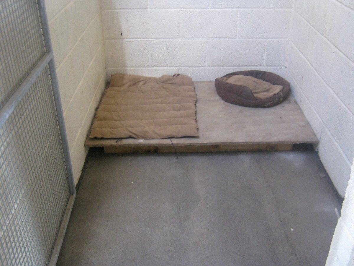 Planning a weekend break away? Pm us for details on our #doggie daycare! #kilkenny