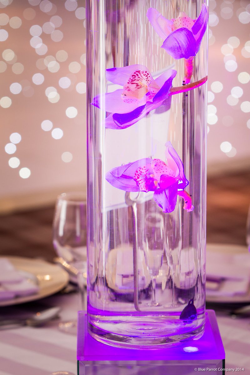 BlueParrot_'s tweet photo. #WeddingWednesday light up your special day with our stunning LED #FlowerFloat centre pieces!
Get in touch with our team to find out how we can transform your venue.
#TeamBP #EventProfs #BlueParrotCompany https://t.co/YEo1bMoeMt