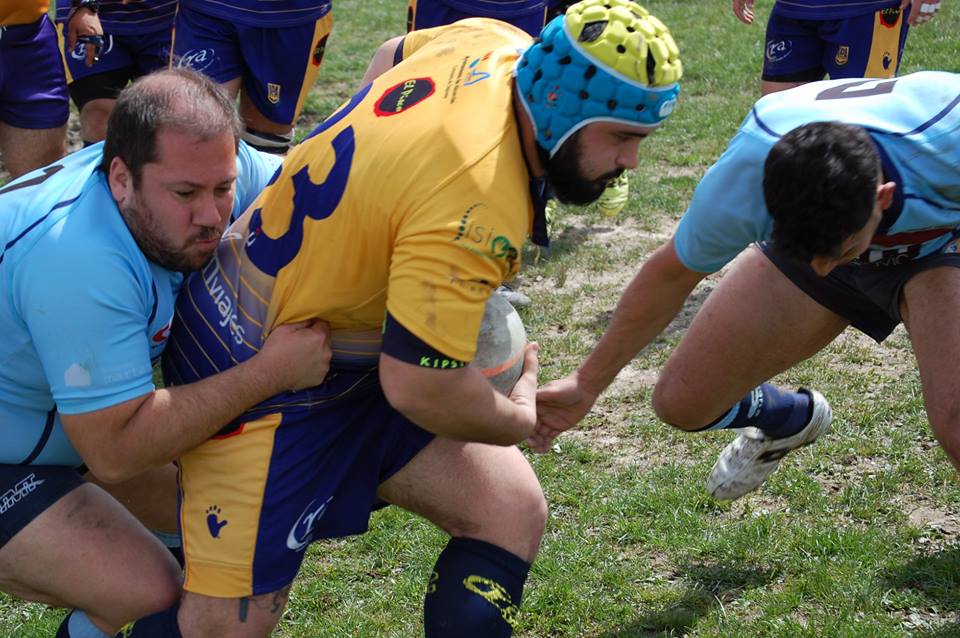 RugbyAlcorcon's tweet photo. Las fotos de nuestros amigos del @rugby_aranda del partido del pasado domingo ante el #UROB -> https://t.co/9YNRFspmIy https://t.co/fP2tSGRBOR