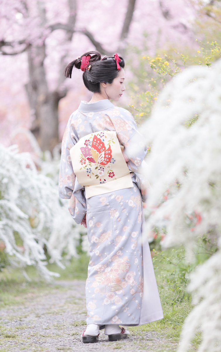 琴音 桜と日本髪 Photographer 華奢 髪結い 安藤琴音 着物 日本髪 鴛鴦 地髪結い 髪結い 結髪師 着物好きな人と繋がりたい 日本髪好きな人と繋がりたい 着物美人 趣着物 被写体 作品撮り モデル 京都 T Co Nob50k5c1l