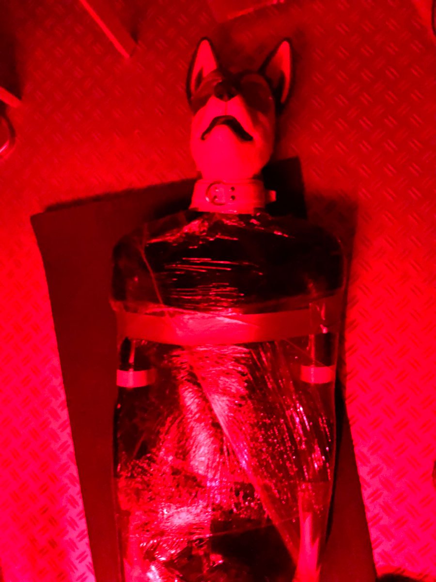 LanceRbrHusky's tweet photo. Helpless husky for your #humpwednesday #mummified #boundpup https://t.co/CIoZ9Xhdhw