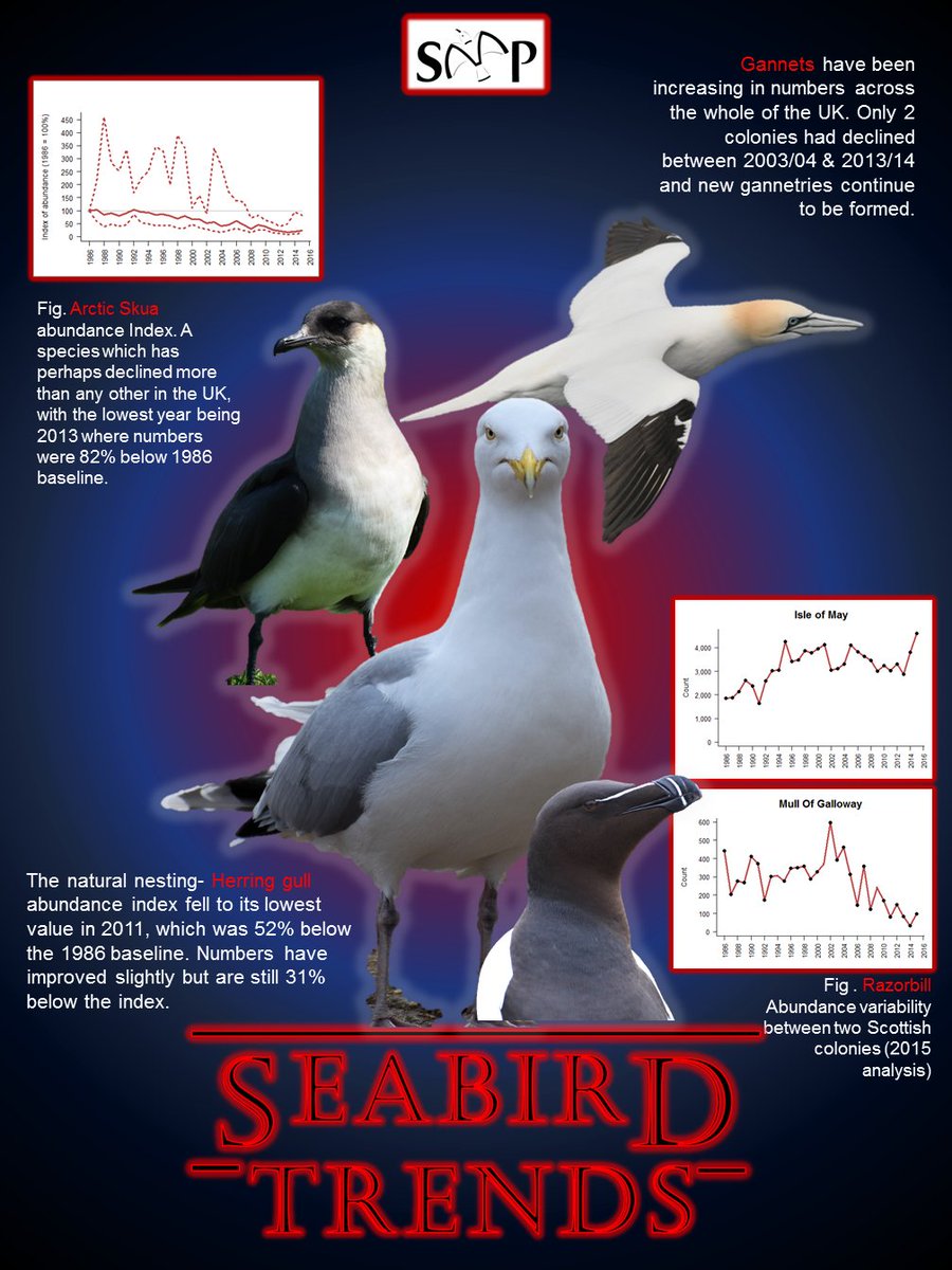 JNCC_UKseabirds's tweet photo. 2/4 #WSTC4 #ConsBio1 - Why now? Declines have been recorded in several species since Seabird 2000. But the picture is a complex one, with #seabird population trends varying between species and colonies. #SeabirdsCount will help to clarify the: what, where and by how much? https://t.co/lVMrs1Q7vJ