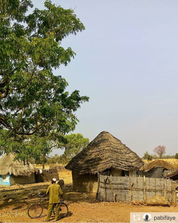 Affondavo il naso tra i suoi capelli allargando le narici per rifugiarmi in un ricordo conosciuto e sicuro, qualcosa che mi riportasse all’ombra dei grandi fromager.
Ecco gli altri capitoli: fb.me/elislowcasaman…
#casamance #bookstagram #book #libri #18aprile #DentroLoSpecchio