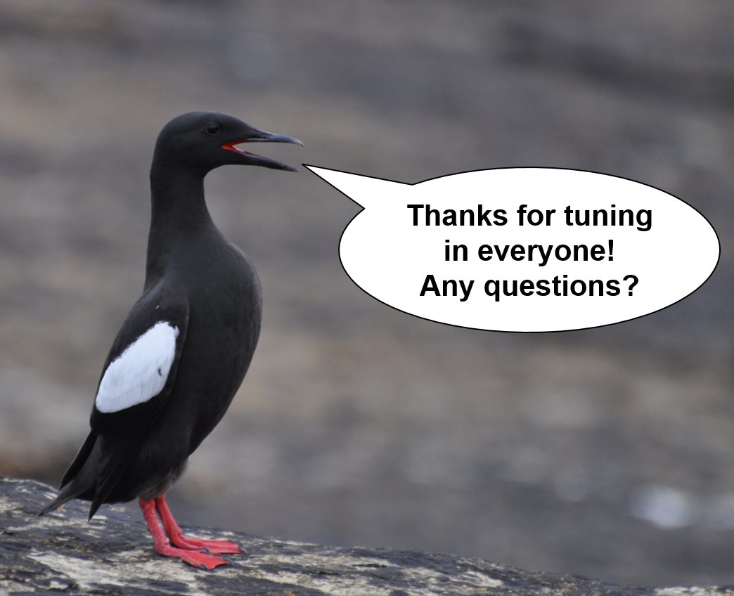 JNCC_UKseabirds's tweet photo. 4/4 #WSTC4 #ConsBio1 – The big picture. Long-term data is vital for exploring the “why” of changing #seabird populations. Improved knowledge of temporal & spatial changes = more informed #conservation decisions & research. An aspiration shared by #SeabirdsCount & those before it. https://t.co/zHYYREzhDY