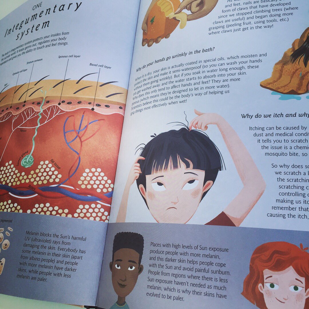 bookgiftblogger's tweet photo. From genetics and DNA to the immune system #Humanatomy has it all covered with his interactive approach to biology by #NicolaEdwards illustrated by #jemmaybank @GeorgeErmos @LittleTigerUK https://t.co/wuSIr53sL9