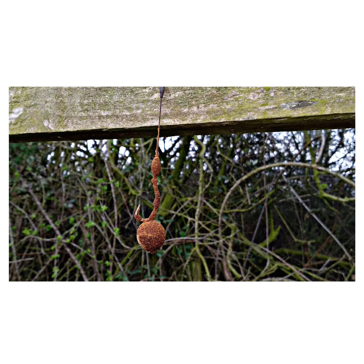 Oozing attraction #DNABaits
SLK, Hydro Liver powder.
.
.
.
.
.
.
.
#thebeardedfisherman #redefineingquality #popup #matchthehatch #slk #carp247 #carpfishing #instacarp #jnstagood