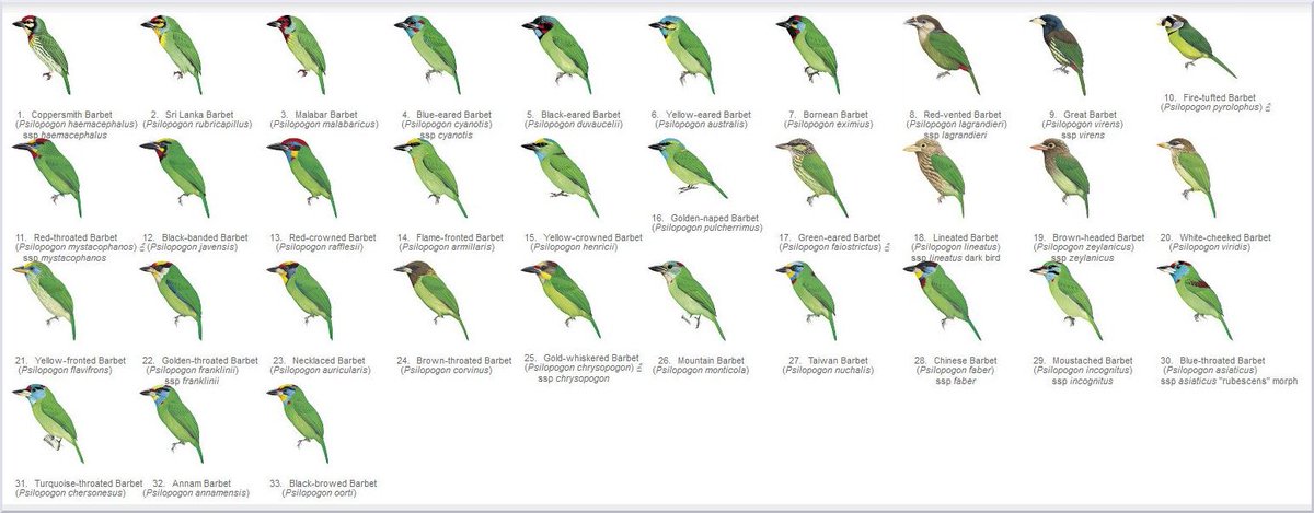 HBW Alive tweet media