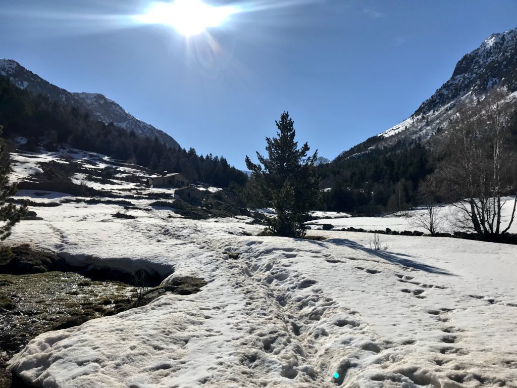 Alves22Nanda's tweet image. 📍Font verd ☀️🤩
.
#modorelax #spring #mountain #trail #andorra #sun 🤩🤩🤩