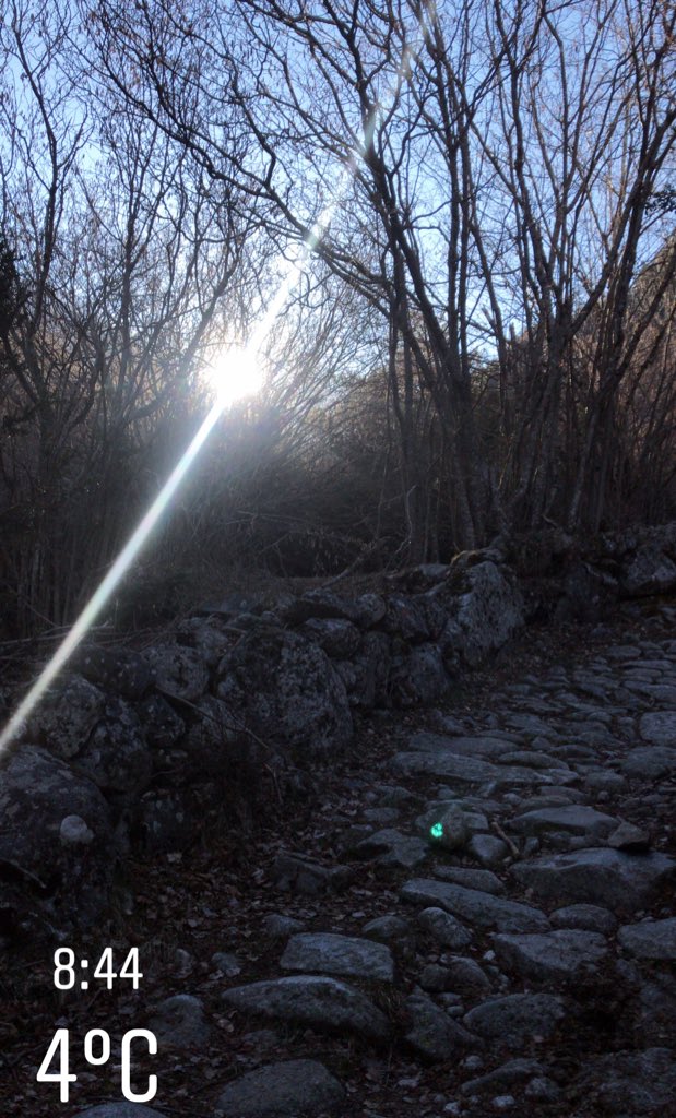 Alves22Nanda's tweet image. 📍Font verd ☀️🤩
.
#modorelax #spring #mountain #trail #andorra #sun 🤩🤩🤩