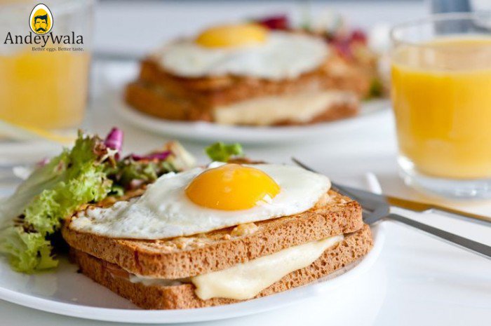 andeywala's tweet photo. Make your day Special with Original egg dishes, we at Andeywala produce
something unique that gives your tongue a new taste!!!
Website:- https://t.co/rMFq5oDwW0
#egg #eggs #eggporn #eggy #eggslut #eggsandwich #eggdish #eggrecipes #andey #amlet #omelette #friedegg #deviledeggs https://t.co/6o6gRuDIjK