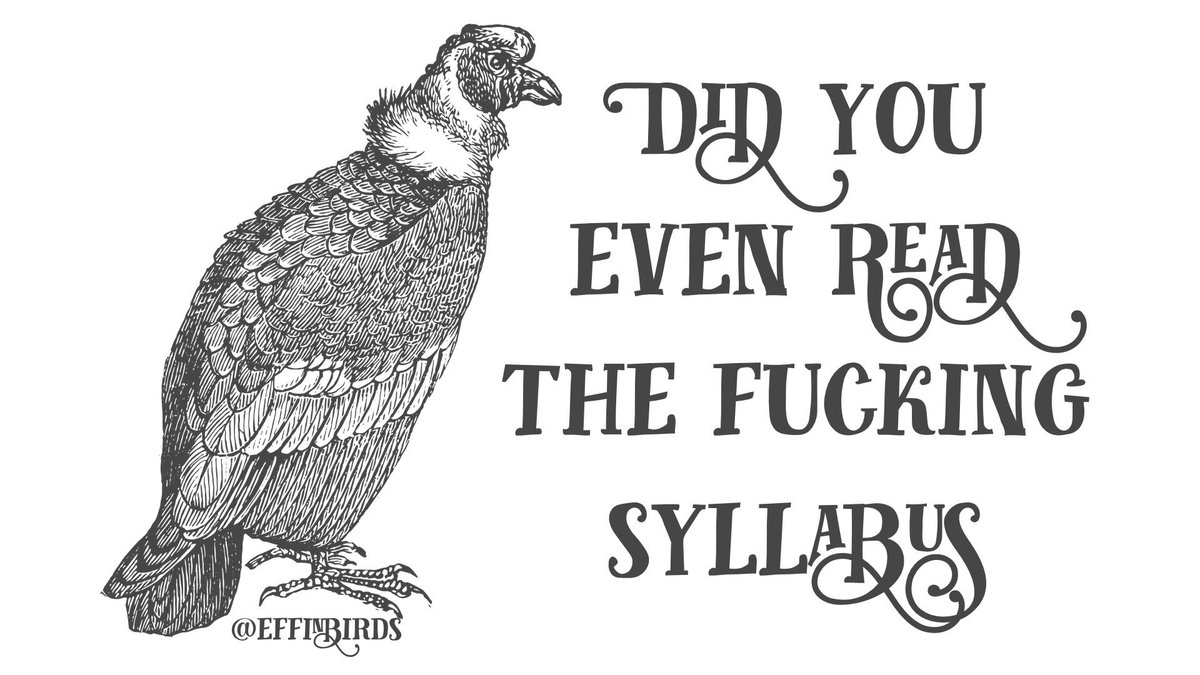 Effin' Birds tweet media