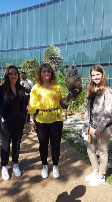 manonchalence_'s tweet photo. Au vu de l'exposition #Rapaces au @museumtoulouse #Alule est prรฉsente aujourd'hui avec quelques rapaces pour des dรฉmonstrations au Jardin botanique Henri Gaussen (situรฉ au Musรฉum). Moments magiques assurรฉs avec ces rapaces au regard pรฉnรฉtrant ๐ฆ
https://t.co/BV5TOJggnL
