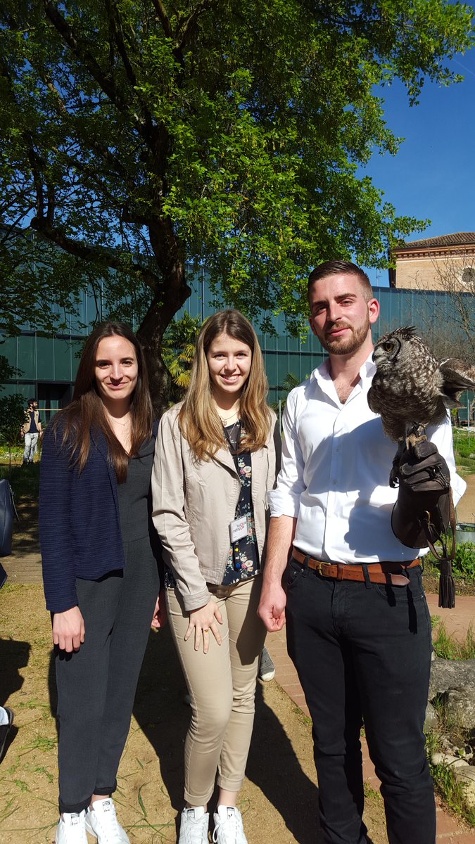 manonchalence_'s tweet photo. Au vu de l'exposition #Rapaces au @museumtoulouse #Alule est prรฉsente aujourd'hui avec quelques rapaces pour des dรฉmonstrations au Jardin botanique Henri Gaussen (situรฉ au Musรฉum). Moments magiques assurรฉs avec ces rapaces au regard pรฉnรฉtrant ๐ฆ
https://t.co/BV5TOJggnL