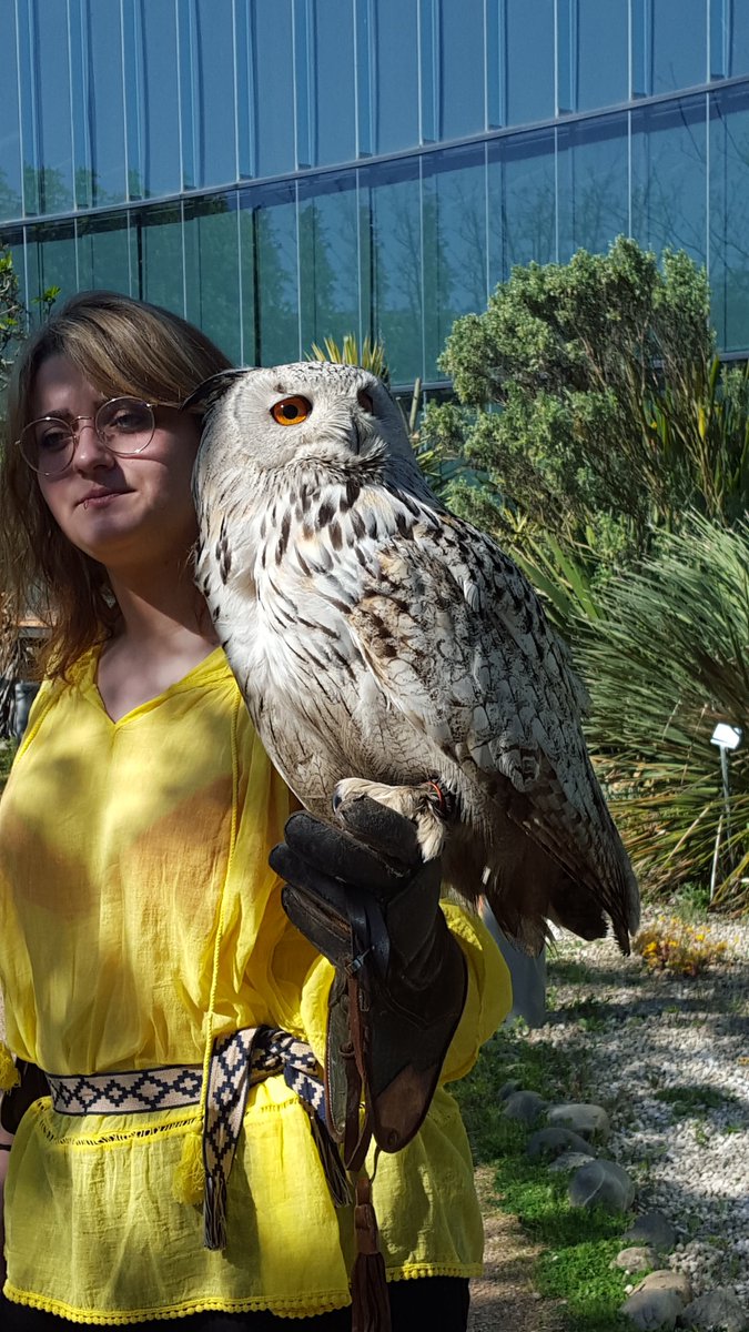 manonchalence_'s tweet photo. Au vu de l'exposition #Rapaces au @museumtoulouse #Alule est prรฉsente aujourd'hui avec quelques rapaces pour des dรฉmonstrations au Jardin botanique Henri Gaussen (situรฉ au Musรฉum). Moments magiques assurรฉs avec ces rapaces au regard pรฉnรฉtrant ๐ฆ
https://t.co/BV5TOJggnL