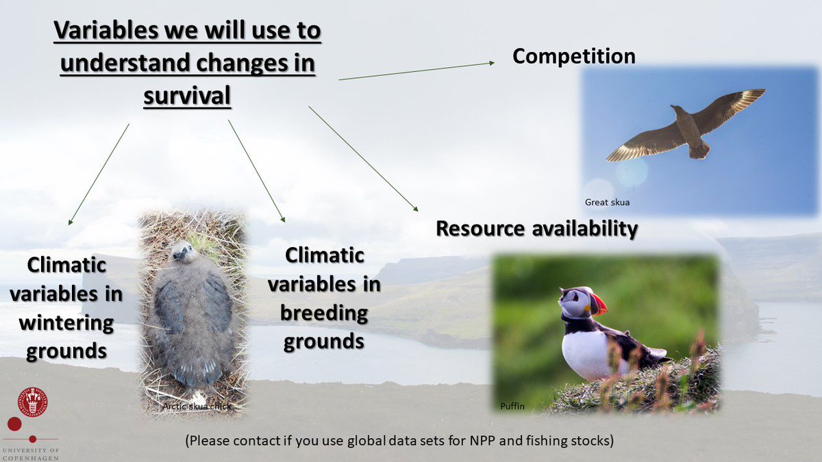 iams0801's tweet photo. 4/4 We will investigate the influence of climatic and habitat variables in survival. #ClimateChange #MasterThesis #WSTC4 #ConsBio1. https://t.co/ZiFFNSx7cN