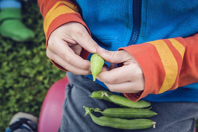 inheritEU's tweet photo. #INHERIT #Pilot5 Gent en Garde #foodpolicy in Belgium, includes 5 strategic goals to support a #sustainable #foodsystem for Ghent: a shorter, visible food chain, more sustainable food production & consumption, more social added value, reduce & reuse #foodwaste as raw materials https://t.co/YhNmK4jaYi