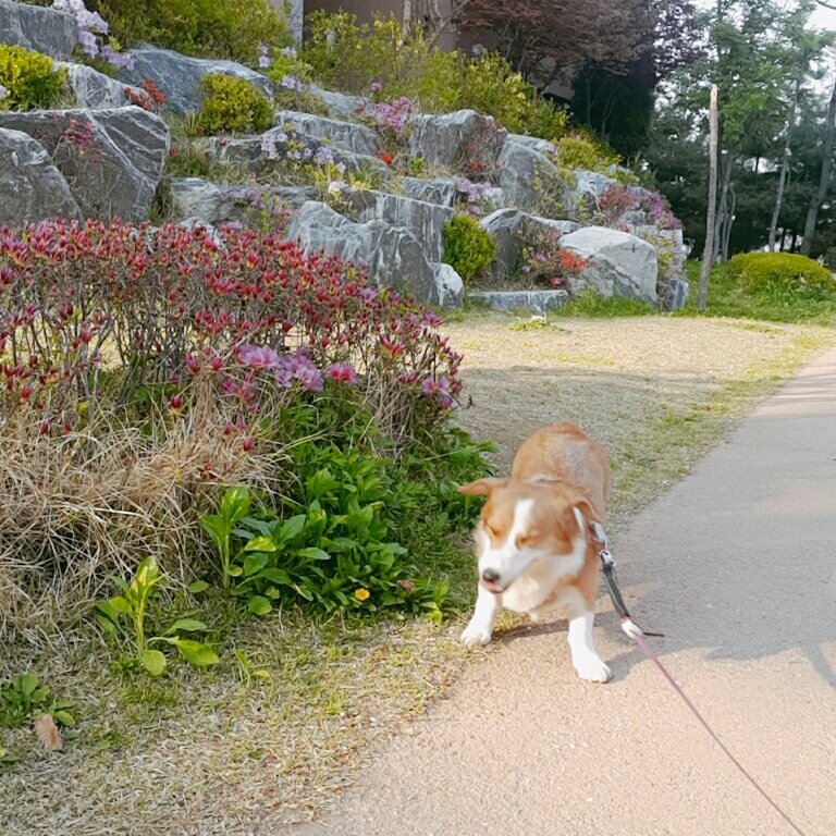 realtaehee16's tweet photo. 날도 좋고 다 좋은데 사진 실력만 저주받음 https://t.co/XF0uLMLEd8