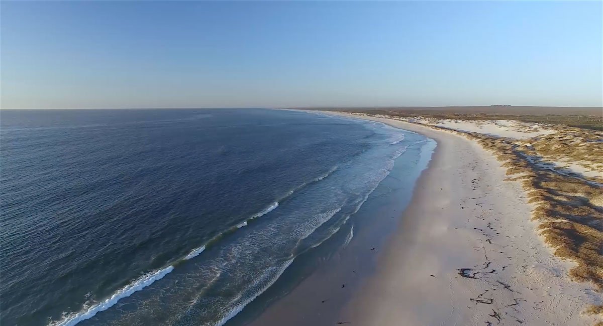 WestCoastWaySA's tweet photo. The @CrayfishTrailCo is a slack-packing trail that uncovers the secrets of the coastal towns and villages of the West Coast situated between Rocher Pan and Papendorp.

https://t.co/8kXMdYwMpA https://t.co/mIe3wL8VUB