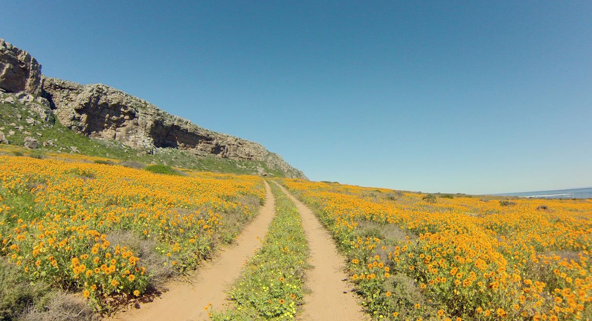 WestCoastWaySA's tweet photo. The @CrayfishTrailCo is a slack-packing trail that uncovers the secrets of the coastal towns and villages of the West Coast situated between Rocher Pan and Papendorp.

https://t.co/8kXMdYwMpA https://t.co/mIe3wL8VUB